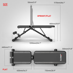 JOROTO Adjustable Weight Bench, Full Body Workout Strength Training Bench Press Foldable Incline Decline Bench Sit Up Exercise Equipment for Home Gym 700lbs/800lbs/1000lbs JOROTO Adjustable Weight Bench, Full Body Workout Strength Training Bench Press Foldable Incline Decline Bench Sit Up Exercise Equipment for Home Gym 700lbs/800lbs/1000lbs