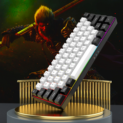 60% wired gaming keyboard, RGB backlight ultra compact mini keyboard, waterproof small compact 61 key keyboard for pc/Mac gamers 60% wired gaming keyboard, RGB backlight ultra compact mini keyboard, waterproof small compact 61 key keyboard for pc/Mac gamers