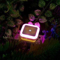 Wireless LED Night Light Sensor Lighting Mini EU/US Plug Night Lights For Children Room Bedroom Living Room Decoration Lighting Wireless LED Night Light Sensor Lighting Mini EU/US Plug Night Lights For Children Room Bedroom Living Room Decoration Lighting