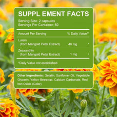 Alxfresh Lutein 40 mg With Zeaxanthin Health Supplements and Eyes Vitamins Supports Eye Strain Dry Eyes and Vision Health Alxfresh Lutein 40 mg With Zeaxanthin Health Supplements and Eyes Vitamins Supports Eye Strain Dry Eyes and Vision Health