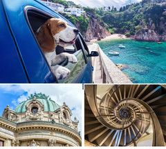 Blackview SHARK 8 Machine Android 13 8GB 128GB/256GB G99 6.78'' 120Hz 2.4K Display 64MP Camera Blackview SHARK 8 Machine Android 13 8GB 128GB/256GB G99 6.78'' 120Hz 2.4K Display 64MP Camera