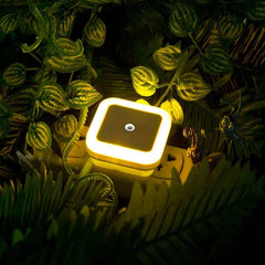 Wireless LED Night Light Sensor Lighting Mini EU/US Plug Night Lights For Children Room Bedroom Living Room Decoration Lighting Wireless LED Night Light Sensor Lighting Mini EU/US Plug Night Lights For Children Room Bedroom Living Room Decoration Lighting