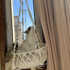 New Pet Hammock Cat Swing Hand Woven Cotton Rope Cats Hanging Basket  Kitten Hanging String Den Indoor Pend Nest Pets Supplies New Pet Hammock Cat Swing Hand Woven Cotton Rope Cats Hanging Basket  Kitten Hanging String Den Indoor Pend Nest Pets Supplies
