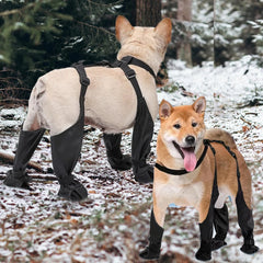 1set Pet Rain Shoes Dog Rain Boots Waterproof Dog Boots Small Puppy Medium Large Dogs Pet Booties Anti-Slip Dog Shoes Rain Snow 1set Pet Rain Shoes Dog Rain Boots Waterproof Dog Boots Small Puppy Medium Large Dogs Pet Booties Anti-Slip Dog Shoes Rain Snow