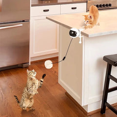 1Pc Fun Lifting Ball Electric Motion Cat Toy With Automatic Retractable Cat Teasing Ball Rotating Interactive Puzzle Pet Toys 1Pc Fun Lifting Ball Electric Motion Cat Toy With Automatic Retractable Cat Teasing Ball Rotating Interactive Puzzle Pet Toys