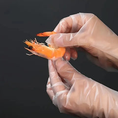 100PCS Disposable TPE Gloves Kitchen Bathroom Restaurant Camping Travel Waterproof Oil-Proof Household Cleaning Tools 100PCS Disposable TPE Gloves Kitchen Bathroom Restaurant Camping Travel Waterproof Oil-Proof Household Cleaning Tools