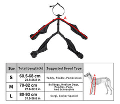 1set Pet Rain Shoes Dog Rain Boots Waterproof Dog Boots Small Puppy Medium Large Dogs Pet Booties Anti-Slip Dog Shoes Rain Snow 1set Pet Rain Shoes Dog Rain Boots Waterproof Dog Boots Small Puppy Medium Large Dogs Pet Booties Anti-Slip Dog Shoes Rain Snow