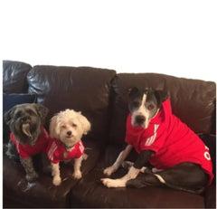 Autumn Winter Warm Dog Clothes Adidog Dog Hoodies Pet Warm Coat for Medium Large Dog Jacket Sweater Puppy French Bulldog Clothes Autumn Winter Warm Dog Clothes Adidog Dog Hoodies Pet Warm Coat for Medium Large Dog Jacket Sweater Puppy French Bulldog Clothes