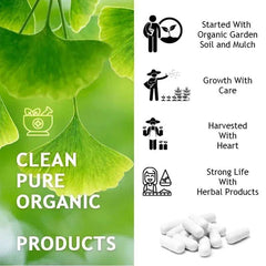 Ginkgo Biloba Capsules Memory Support Supplement, Brain Function & Mental Alertness, Focus, Concentration, with Vitamin B6 B12 Ginkgo Biloba Capsules Memory Support Supplement, Brain Function & Mental Alertness, Focus, Concentration, with Vitamin B6 B12