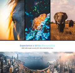 HOTWAV Cyber 13 Pro smartphone collage of horse eye fish elephant and city skyline highlighting 120 degree ultra wide camera HOTWAV Cyber 13 Pro smartphone collage of horse eye fish elephant and city skyline highlighting 120 degree ultra wide camera