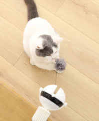 1Pc Fun Lifting Ball Electric Motion Cat Toy With Automatic Retractable Cat Teasing Ball Rotating Interactive Puzzle Pet Toys 1Pc Fun Lifting Ball Electric Motion Cat Toy With Automatic Retractable Cat Teasing Ball Rotating Interactive Puzzle Pet Toys