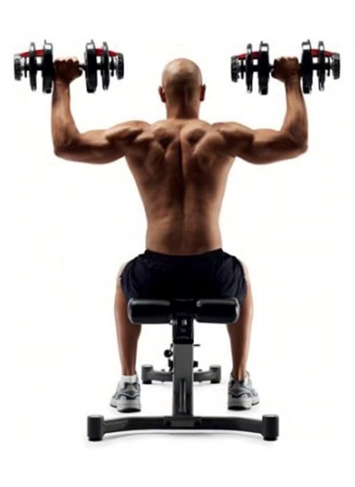 Man lifting Huitich adjustable dumbbell 40kg UAE while seated on workout bench from rear view Man lifting Huitich adjustable dumbbell 40kg UAE while seated on workout bench from rear view
