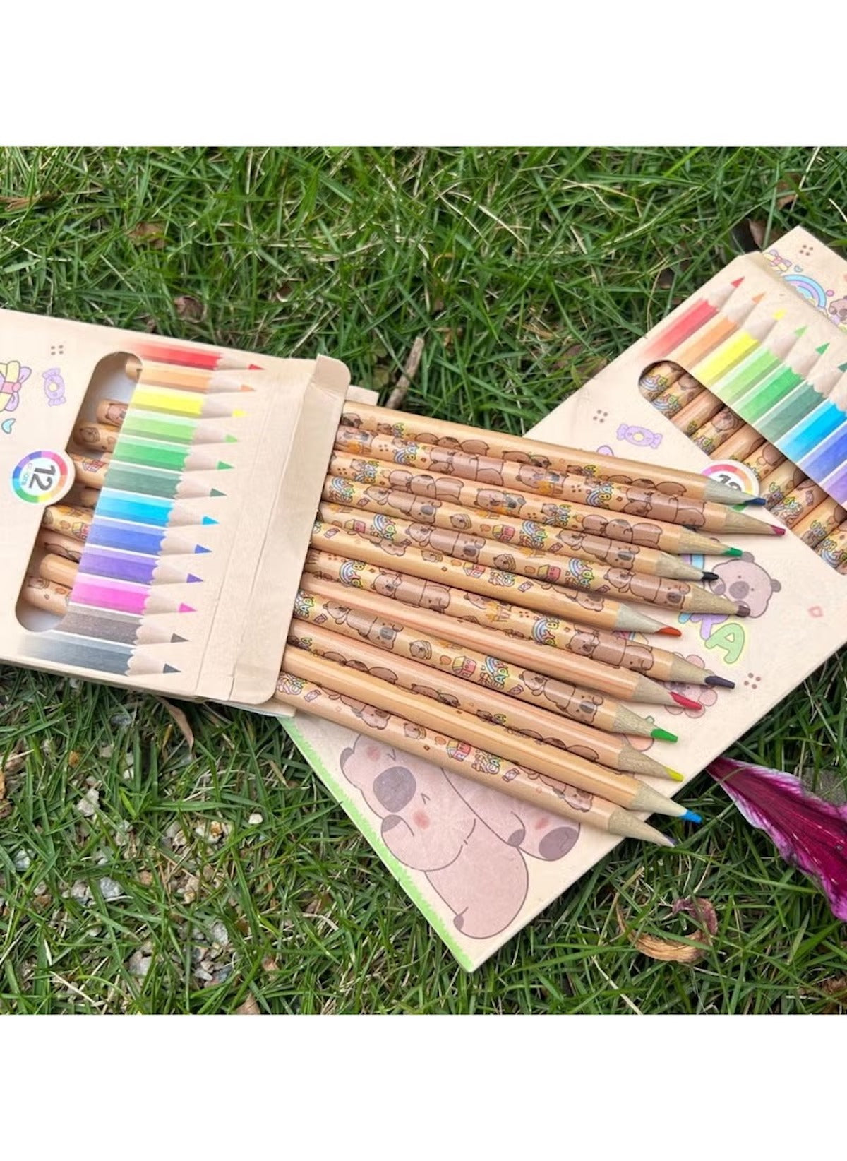 Huitich eco friendly colored pencils for kids with animal prints in a cardboard box on grass Huitich eco friendly colored pencils for kids with animal prints in a cardboard box on grass