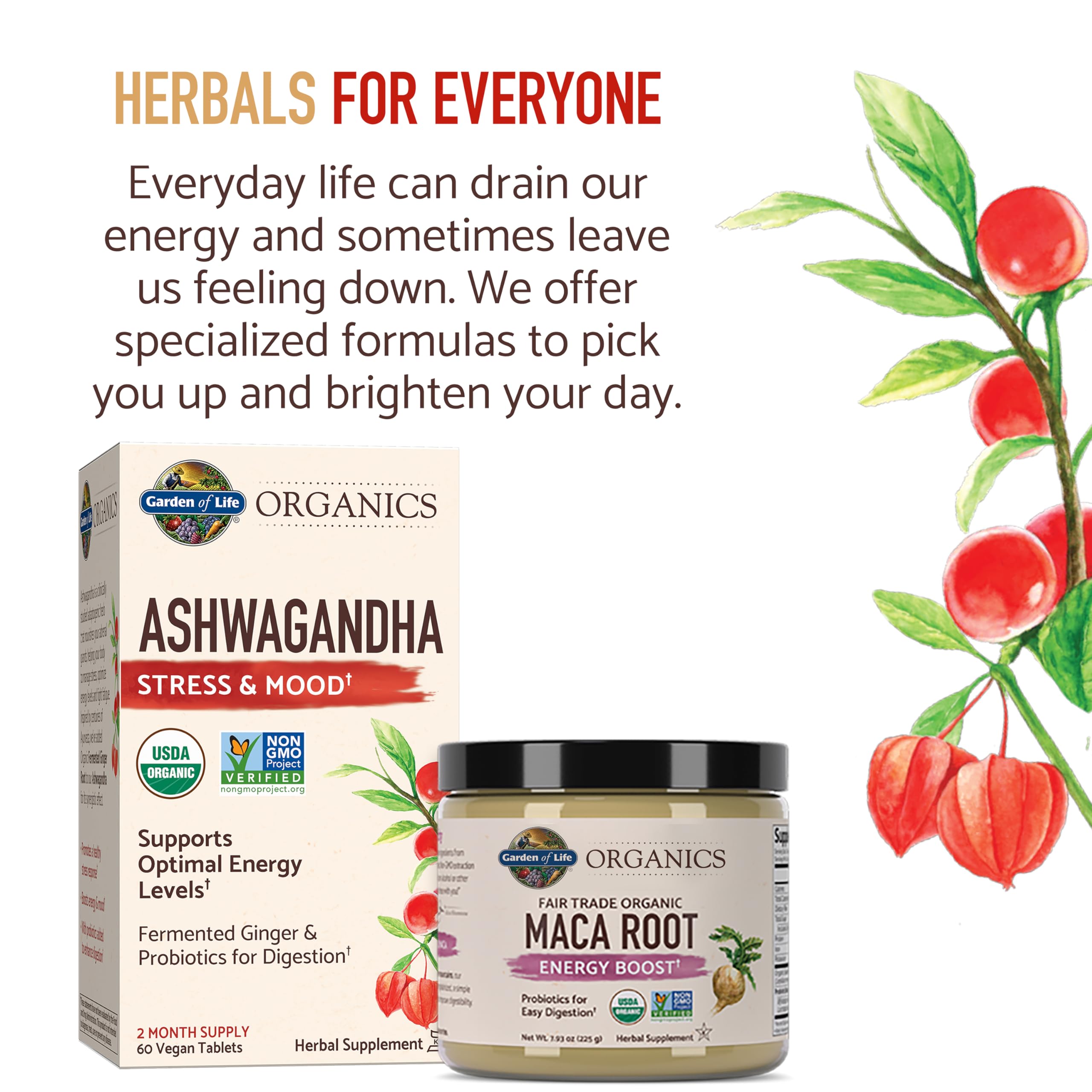 Garden of Life Organics Ashwagandha box and Maca Root jar with herbal packaging and text organic ashwagandha supplement UAE Garden of Life Organics Ashwagandha box and Maca Root jar with herbal packaging and text organic ashwagandha supplement UAE