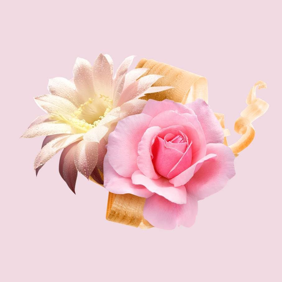 Floral composition with a pink rose, a white flower, and wood curl representing Hugo Boss Ma Vie for women fragrance Floral composition with a pink rose, a white flower, and wood curl representing Hugo Boss Ma Vie for women fragrance