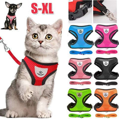 Huitich A - Express Cat Harness and Leash Set for Walking - Mumzar Huitich A - Express Cat Harness and Leash Set for Walking - Mumzar