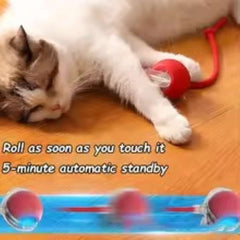 Huitich A - Express Interactive Rolling Ball Toy for Pets - Mumzar Huitich A - Express Interactive Rolling Ball Toy for Pets - Mumzar