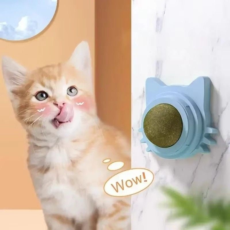 Huitich A - Express Lickable Catnip Ball Toy for Cats - Mumzar Huitich A - Express Lickable Catnip Ball Toy for Cats - Mumzar