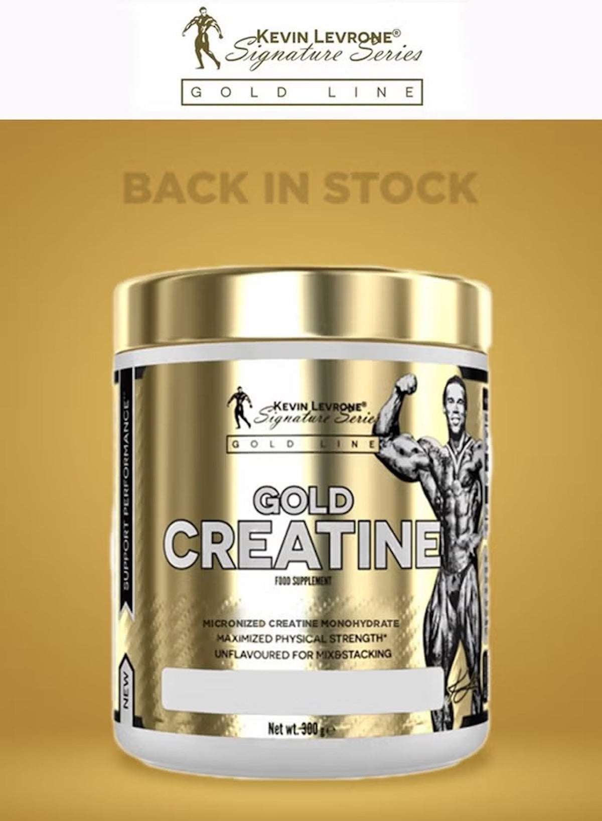 Kevin Levrone Gold Creatine 300g supplement with a gold container for enhanced physical strength. Kevin Levrone Gold Creatine 300g supplement with a gold container for enhanced physical strength.