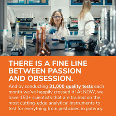 NOW Vitamin B12 Supplement 1000 mcg Energy & Nervous Health - Mumzar NOW Vitamin B12 Supplement 1000 mcg Energy & Nervous Health - Mumzar