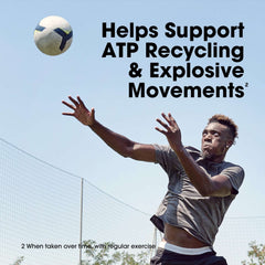 Optimum Nutrition Micronized Creatine Supplement 300g Powder - Mumzar Optimum Nutrition Micronized Creatine Supplement 300g Powder - Mumzar