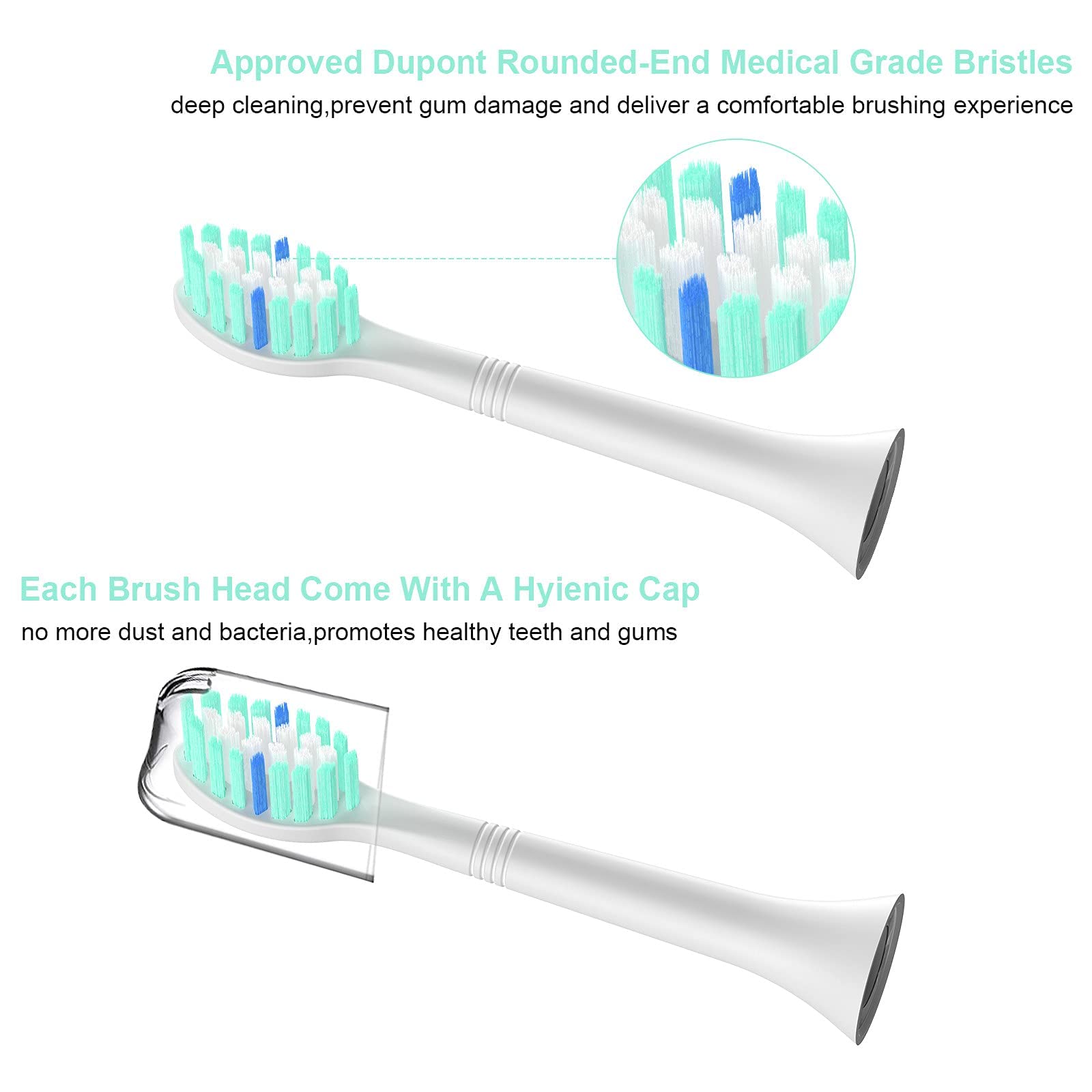 Sonicare compatible replacement brush heads white replacement head with rounded end Dupont bristles and hygienic protective cap Sonicare compatible replacement brush heads white replacement head with rounded end Dupont bristles and hygienic protective cap