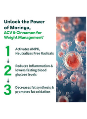 OZiva ACV moringa effervescent tablets benefits showcasing weight management, inflammation reduction, and fat oxidation OZiva ACV moringa effervescent tablets benefits showcasing weight management, inflammation reduction, and fat oxidation