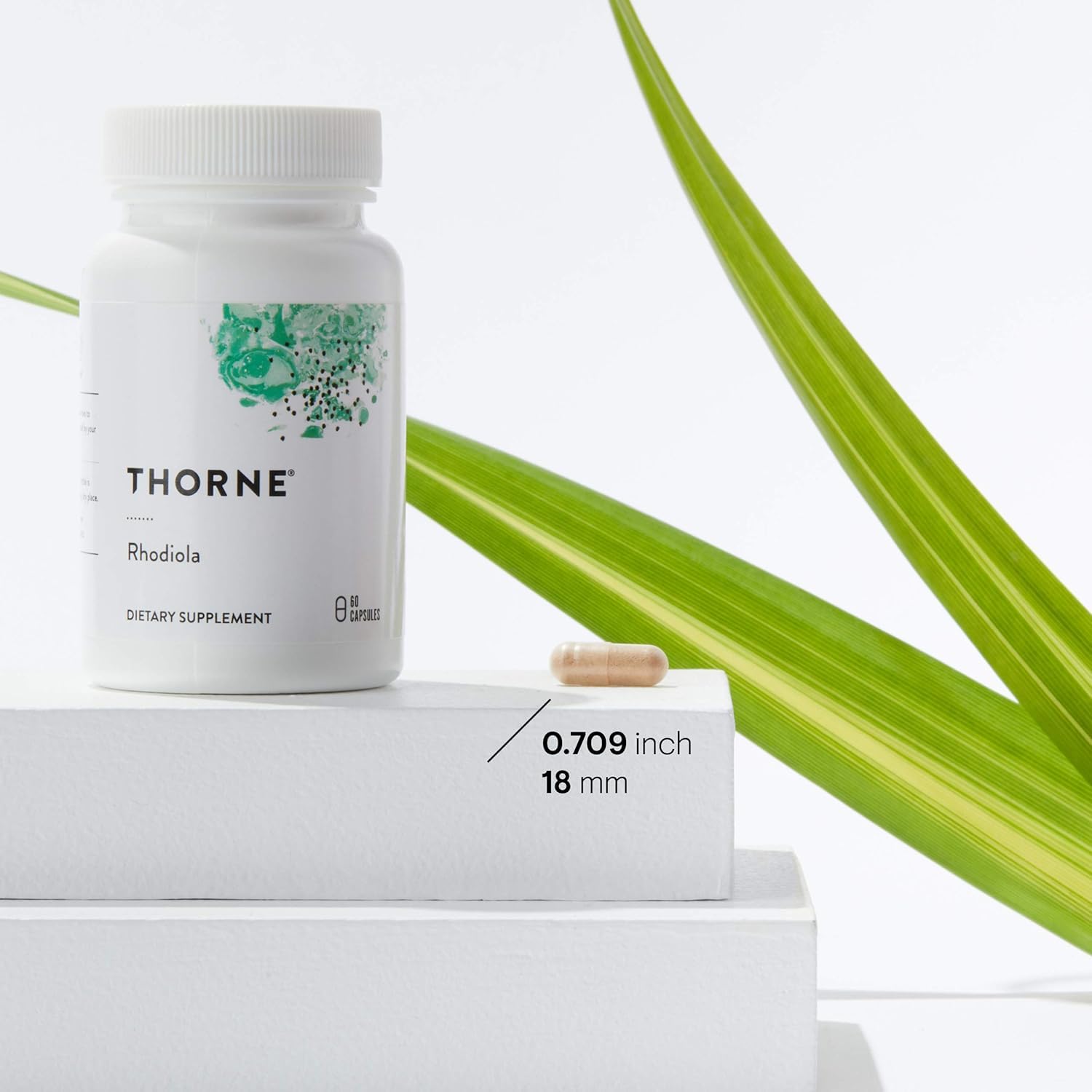 THORNE Rhodiola supplement for stress relief bottle with capsule on white pedestal and green leaf THORNE Rhodiola supplement for stress relief bottle with capsule on white pedestal and green leaf