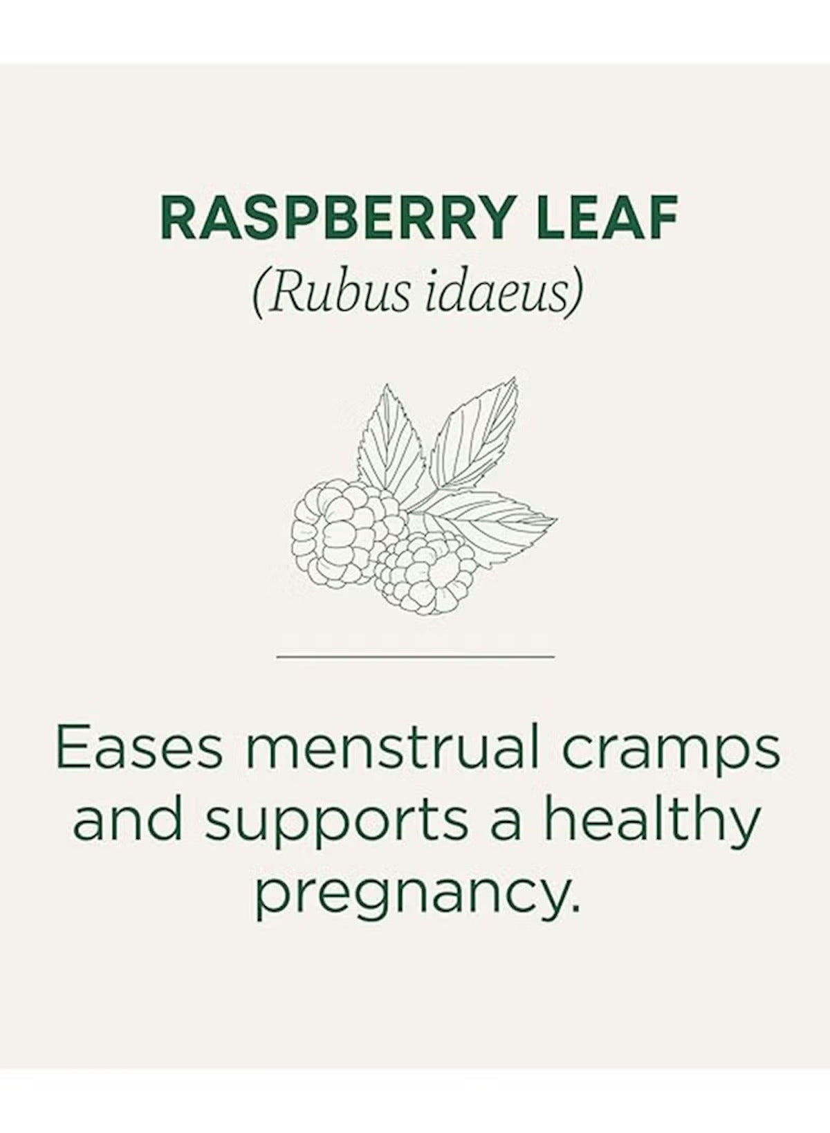 Traditional Medicinals organic raspberry leaf tea to ease menstrual cramps and support healthy pregnancy Traditional Medicinals organic raspberry leaf tea to ease menstrual cramps and support healthy pregnancy