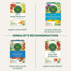 Traditional Medicinals nettle tea UAE product display of four tea boxes Reishi Mushroom Everyday Detox Stress Ease and Rose Hips Traditional Medicinals nettle tea UAE product display of four tea boxes Reishi Mushroom Everyday Detox Stress Ease and Rose Hips