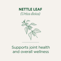 Traditional Medicinals nettle tea UAE label showing nettle leaf illustration and text supports joint health and overall wellness Traditional Medicinals nettle tea UAE label showing nettle leaf illustration and text supports joint health and overall wellness