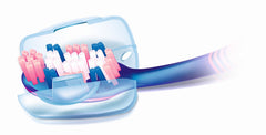 Trisa clear toothbrush hygiene box pack of 3 showing open case with toothbrush head and pink and blue bristles Trisa clear toothbrush hygiene box pack of 3 showing open case with toothbrush head and pink and blue bristles