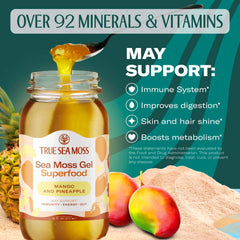 TrueSeaMoss jar of sea moss gel mango pineapple with spoon mangoes and pineapple fruits on display TrueSeaMoss jar of sea moss gel mango pineapple with spoon mangoes and pineapple fruits on display