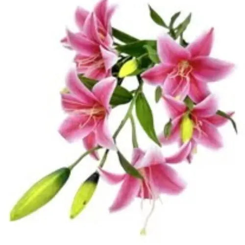 Artificial Flower Decor for Home, Parties, and Weddings Pink - Mumzar