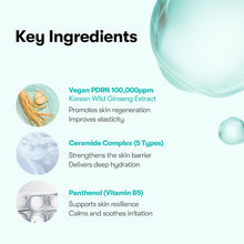 Key ingredients infographic for PDRN essence serum: vegan PDRN 100, ceramide complex.