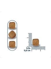Dry dog kibble pieces with size guide, about 0.9 x 0.8 cm