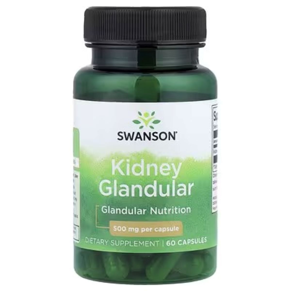 Swanson Vitamins Kidney Glandular 500 mg – 60 Capsules | Glandular Support Supplement