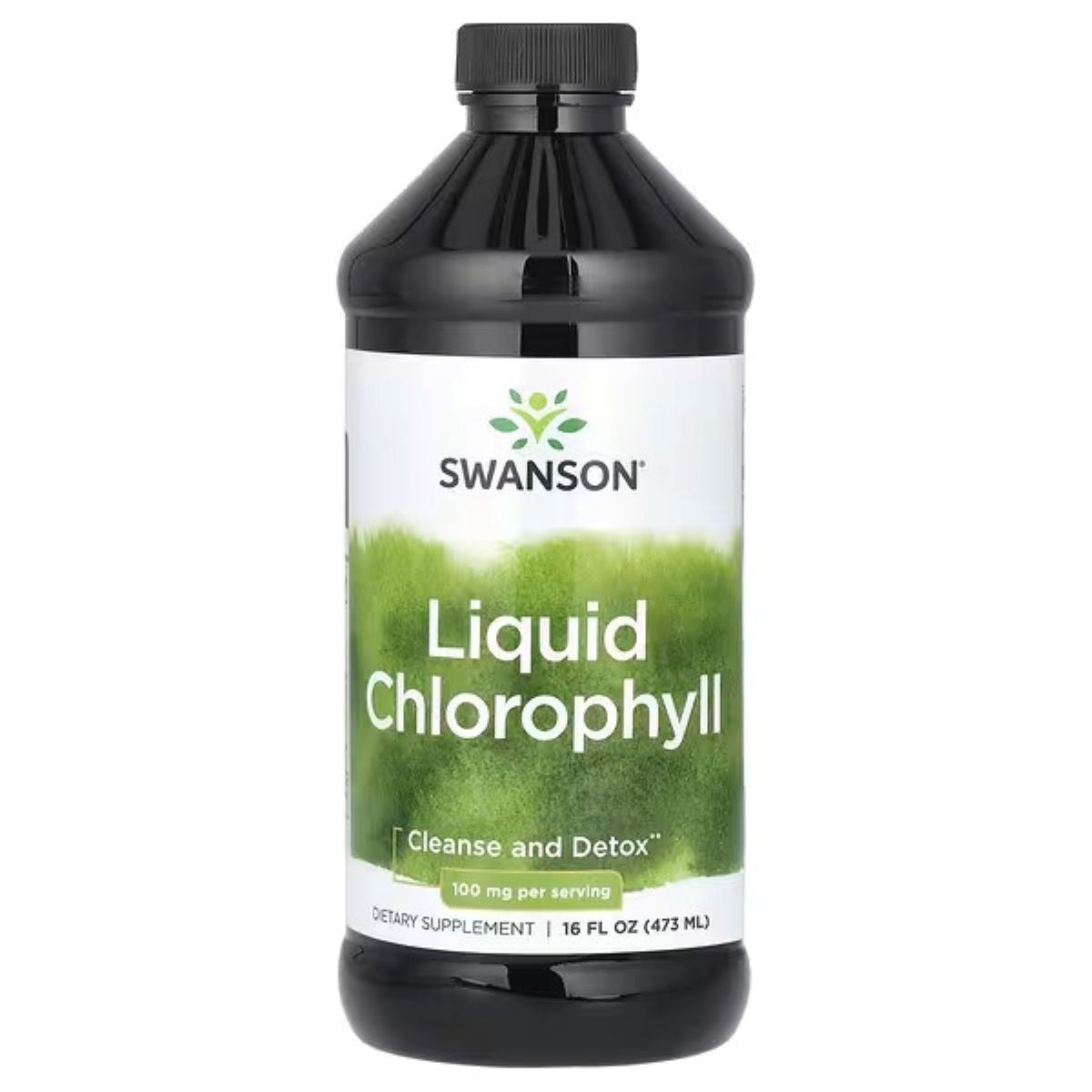Swanson Vitamins Liquid Chlorophyll 100 mg – 16 fl oz (473 ml) | Liquid Chlorophyll Supplement for Daily Wellness & Antioxidant Support