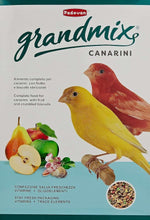Canarini bird food bag with canaries, fruit mix and seed blend illustration