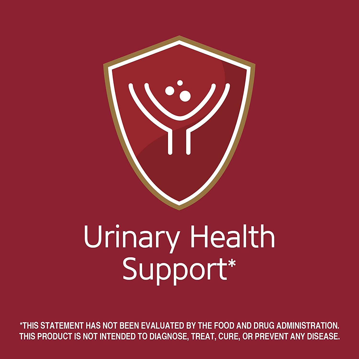 21st Century supplement label with shield icon and Urinary Health Support text cranberry probiotics tablets UAE