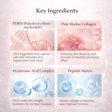 Key ingredients panel for PDRN pink marine collagen, hyaluronic acid, peptides
