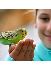Volo Seedy Budgie Mix With Vitamin 1100g