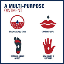 Multi-purpose ointment box with icons for dry, cracked skin, chapped lips, hands, heels