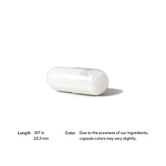 THORNE Acetyl-L-Carnitine - 500 mg - Supports Brain Function and Healthy Nerve Sensations in the Hands and Feet - Gluten-Free, Soy-Free, Dairy-Free - 60 Capsules