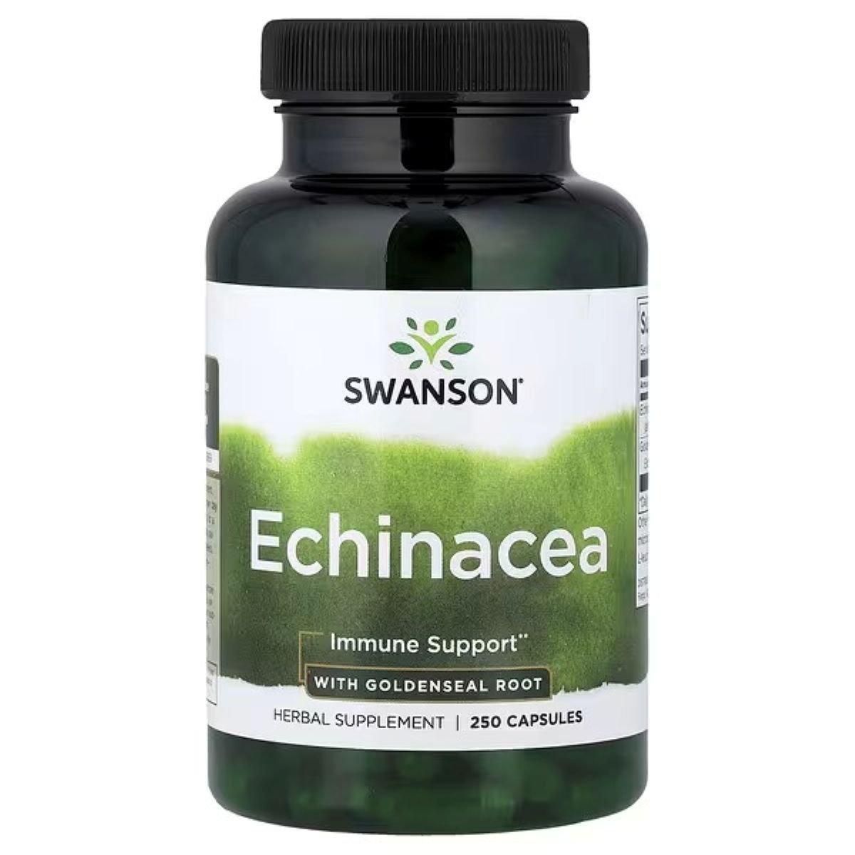 Swanson Vitamins Echinacea with Goldenseal Root, 250 Capsules