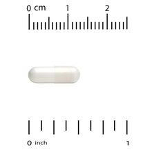 White veggie capsule shown with size ruler markings, horizontal capsule shape