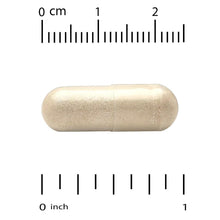 Panax Ginseng extract veggie capsule, cream-colored with measurement scale