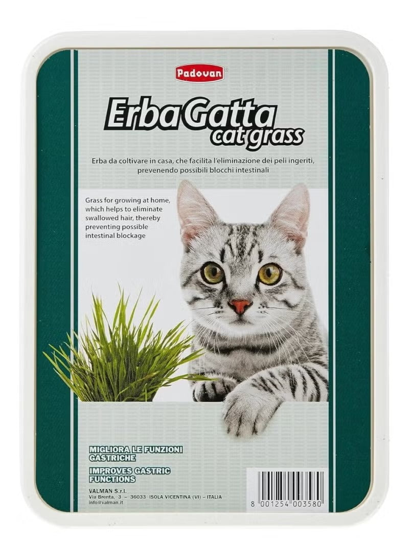 ErbaGatta Cat Grass – Multi-Colour