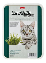 ErbaGatta cat grass tub with label and cat image, with visible green grass sprouts