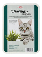 ErbaGatta Cat Grass – Multi-Colour